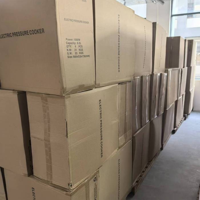 220V出口外贸欧规电压力锅，600台