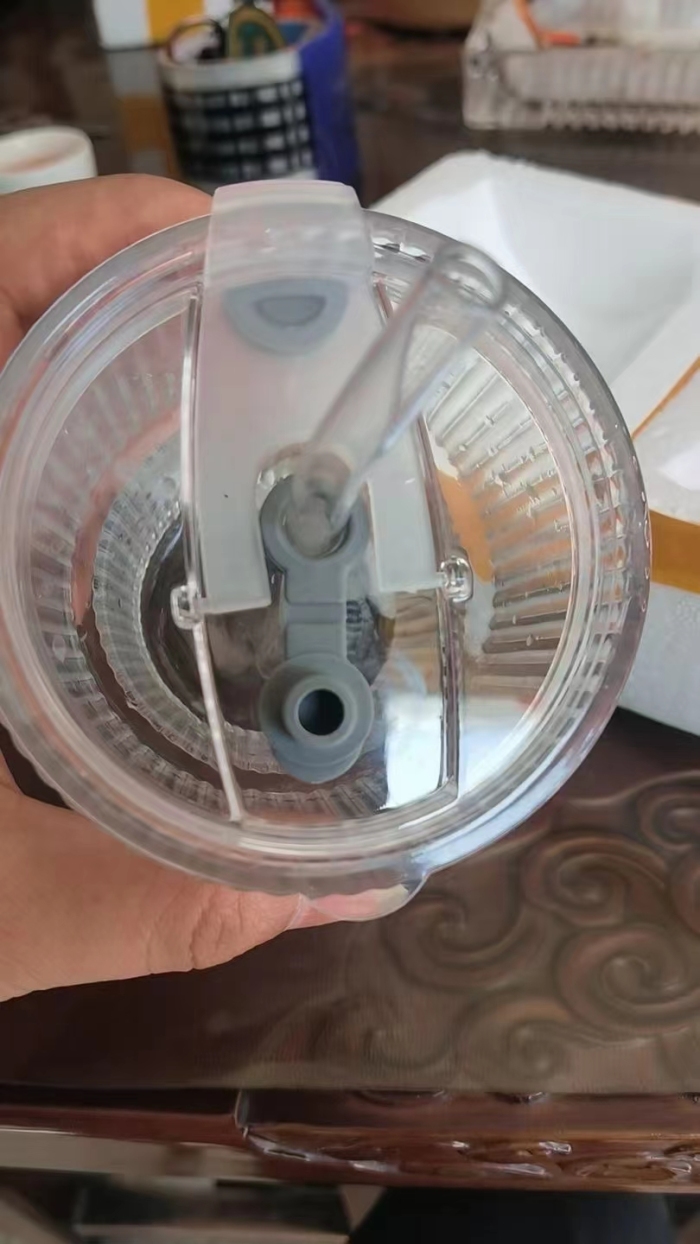 大容量玻璃吸管杯高颜值女夏天竖条纹带盖双饮杯咖啡果茶柠檬水杯，只有800个，特价处理