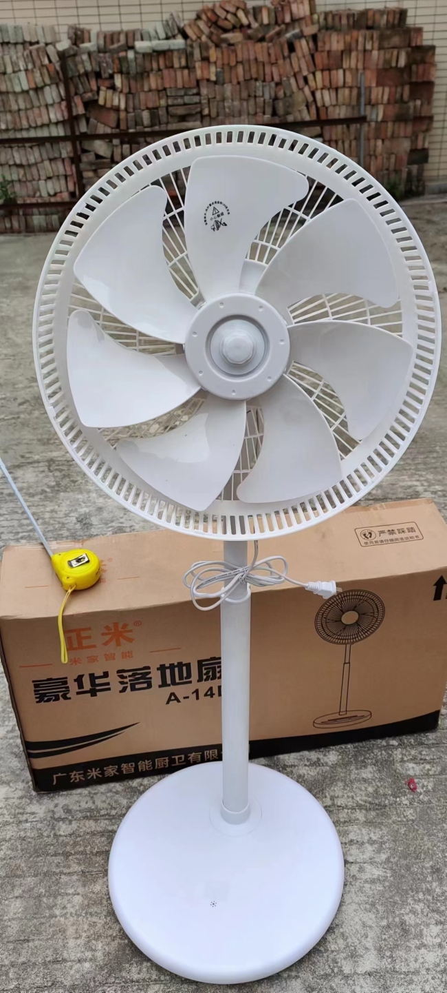 品牌正米800台靓仔风扇，质量嘎嘎好，100台起批，6x元全清