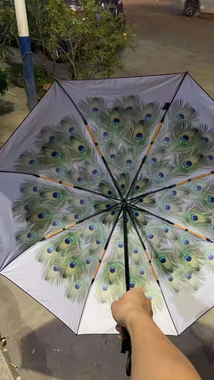孔雀开庭雨伞800把清货处理，特价10