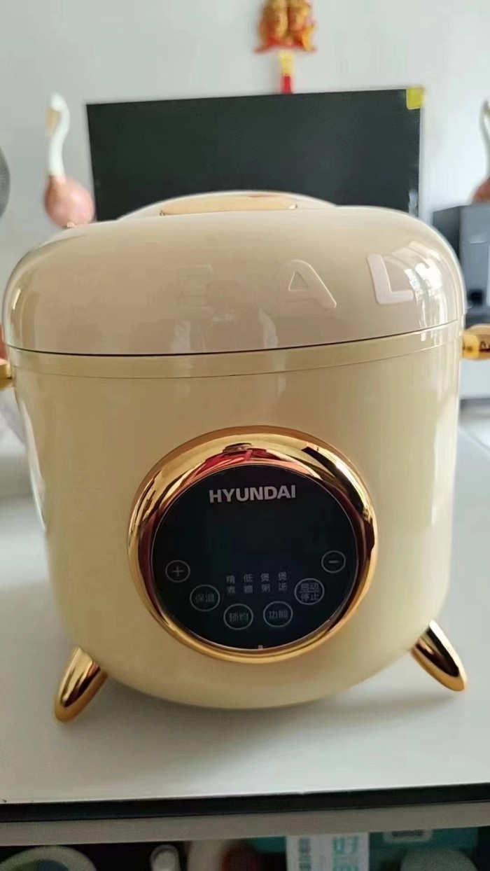 韩国现货品牌电饭锅，高颜值高品质 ​质量保证最后200个