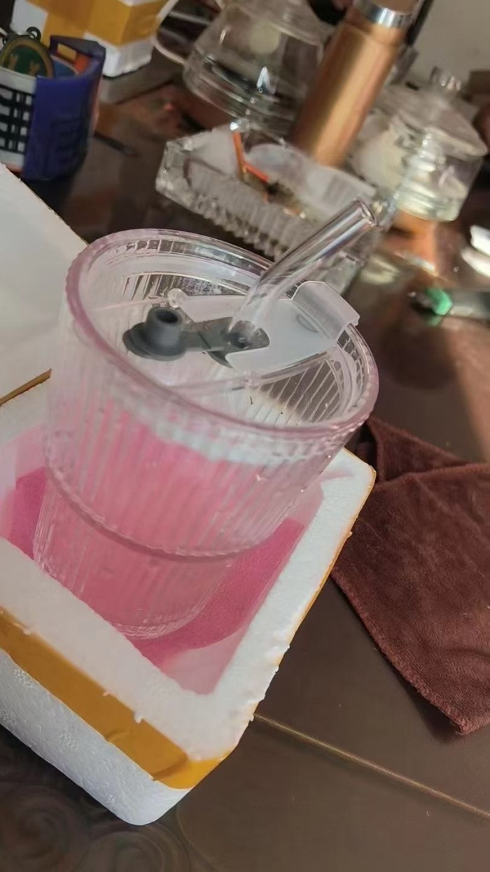 大容量玻璃吸管杯高颜值女夏天竖条纹带盖双饮杯咖啡果茶柠檬水杯，只有800个，特价处理