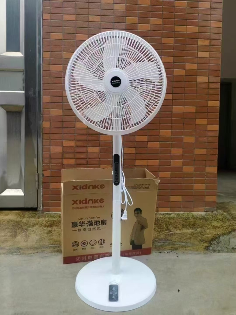 16寸遥控风扇250台左右
