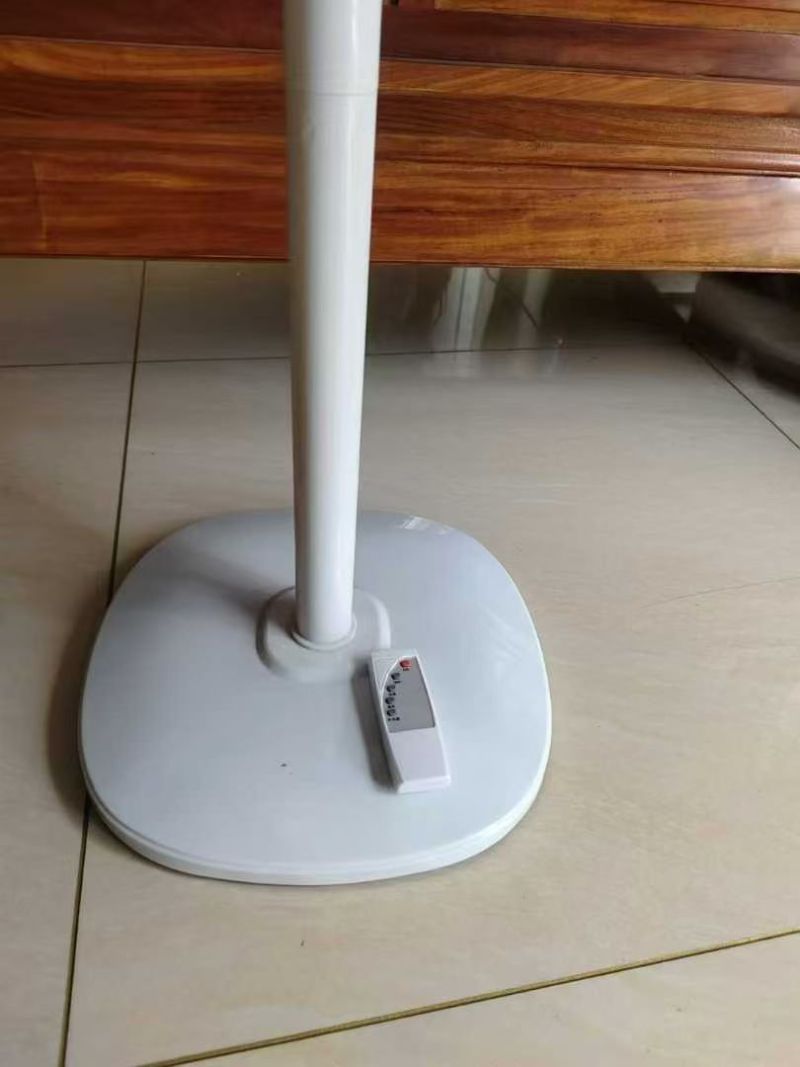 高端品牌落地扇2千多台，有遥控和机械款，可挑款，重底，厚实，独立包装，大货板板正正，主打跑量，可分单，便宜处理